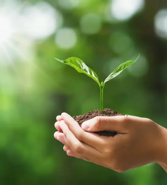 environnement-wiprosolutions environnement-wiprosolutions