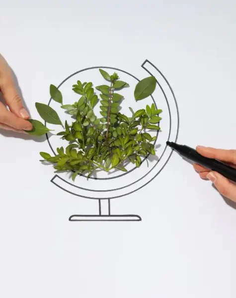 Bilan Carbone & Empreinte Environnementale-wiprosolution Bilan Carbone & Empreinte Environnementale-wiprosolution