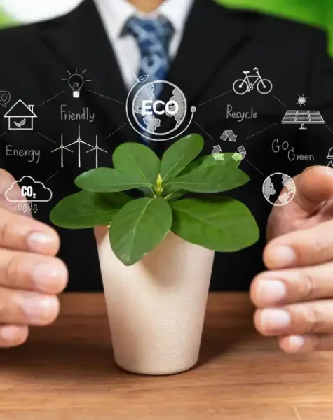 Stratégie ESG & RSE Stratégie ESG & RSE