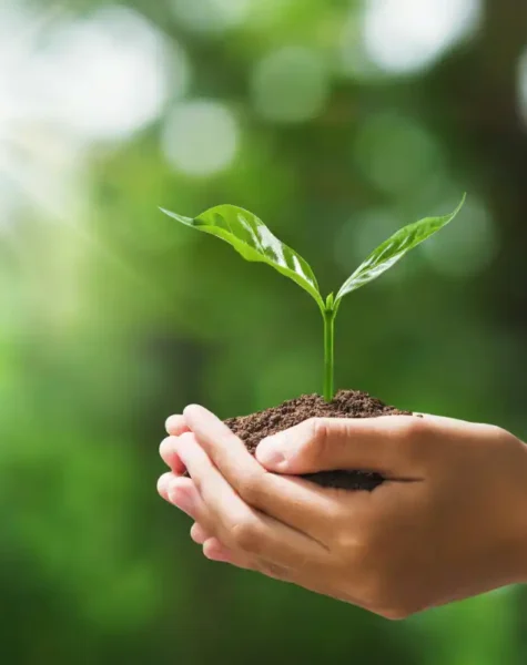 environnement-wiprosolutions environnement-wiprosolutions